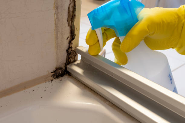 Crawl Space Mold Removal in Kinsley, KS