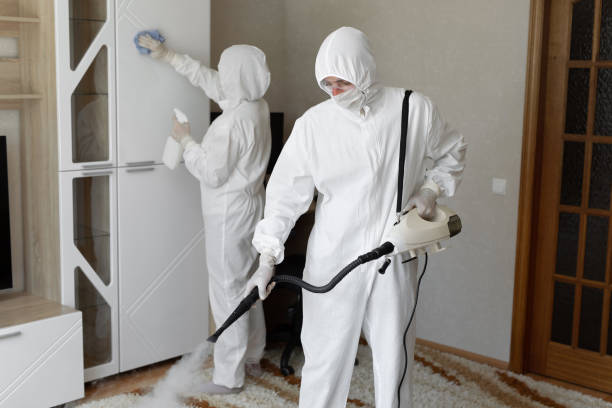 Best Mold Testing  in Kinsley, KS