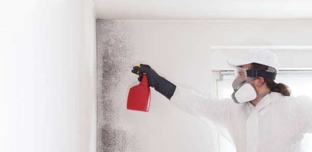 Best Affordable Mold Removal  in Kinsley, KS