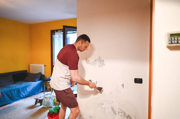 Best Mold Removal Company Near Me  in Kinsley, KS